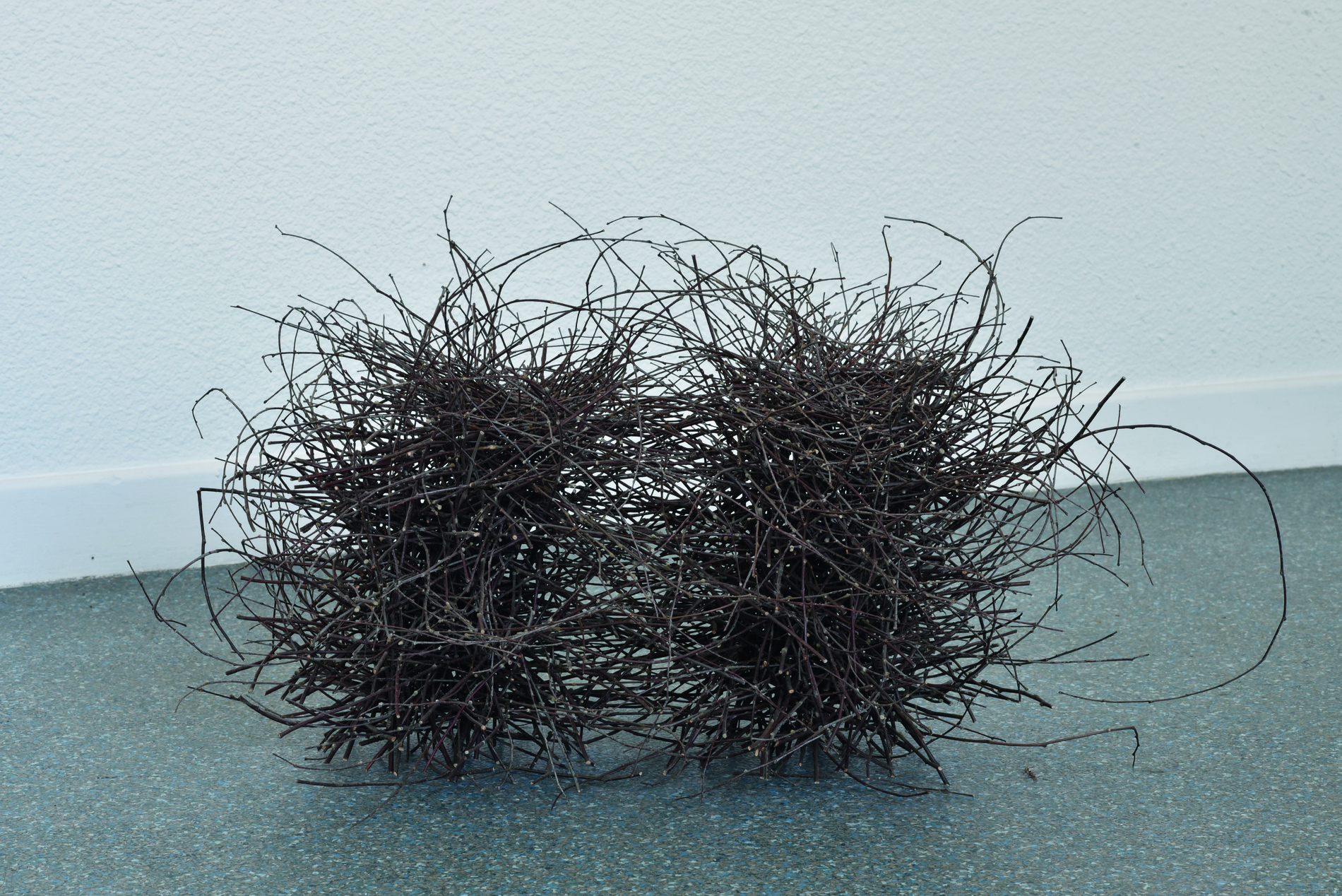 Photo de l'oeuvre Conférence des oiseaux