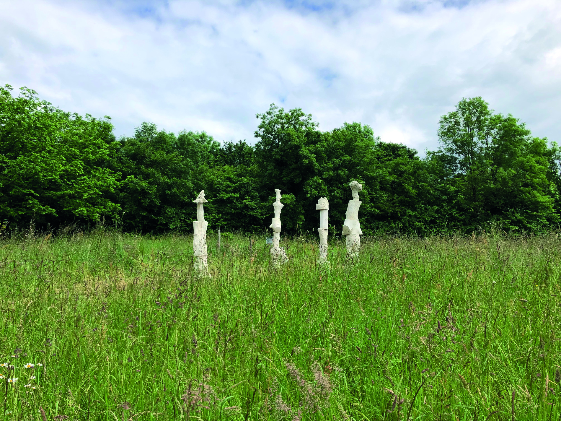 Constellation ordinaire #14