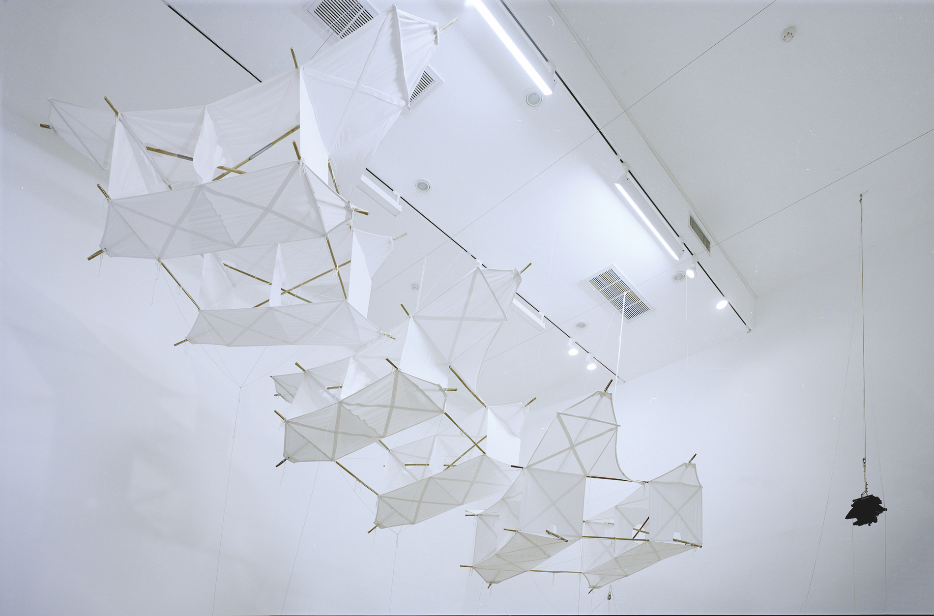 Photo de l'oeuvre Train de cerfs-volants Saconney