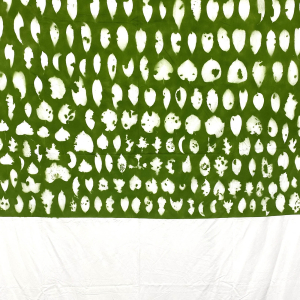 DECTOR_Hopital_des_feuilles_detail1