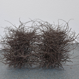 GHESQUIÈRE_Conférence des oiseaux_6494 HD