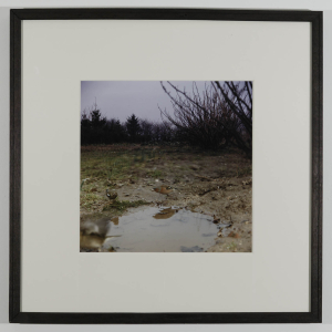 MYLAYNE_Jean-Luc_N°68_credit_photo_Freddy_Le_Saux