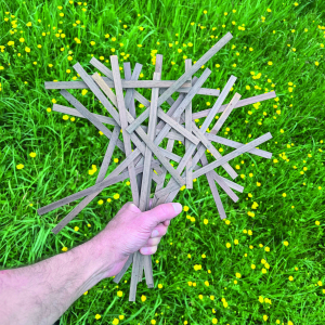 LEGUILLERM_Entremelloises