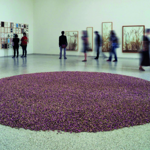 de_vries_Rosa_damascena_Crédit _DR