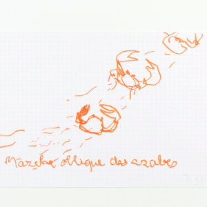 DEKNUYDT_Marche des crabes
