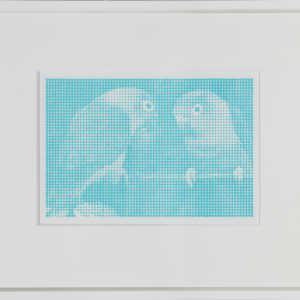 RAGUENES_Credit_Freddy_Le_Saux